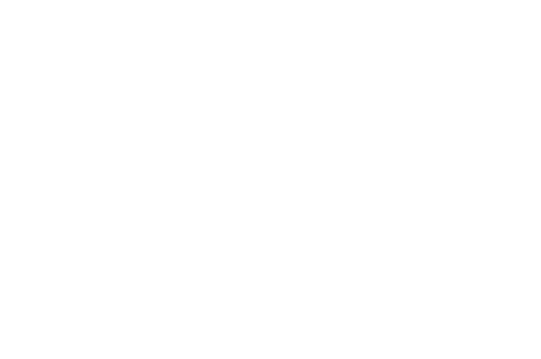 PM Logo