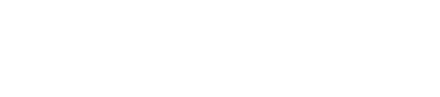 Palfinger Logo